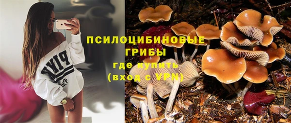 ALPHA PVP Покачи