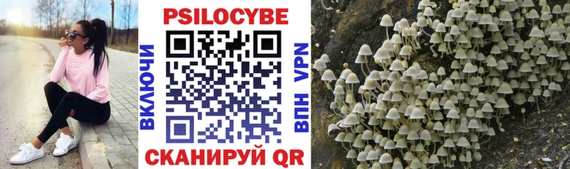 Псилоцибиновые грибы Psilocybe  Мостовской 